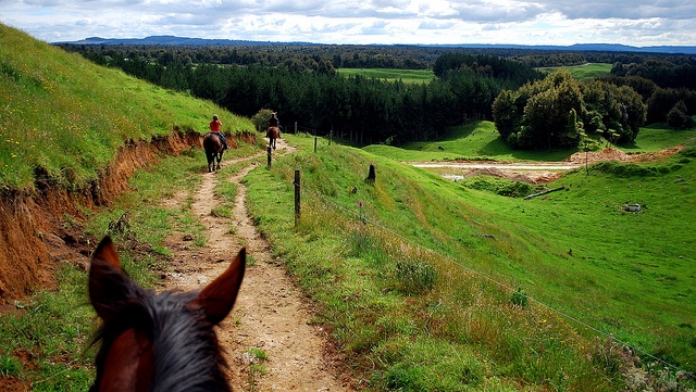 Paseando a caballo